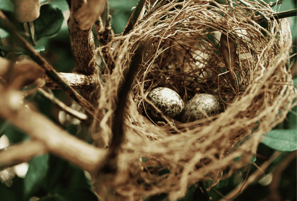 Fertility-Preservation-Family-Building